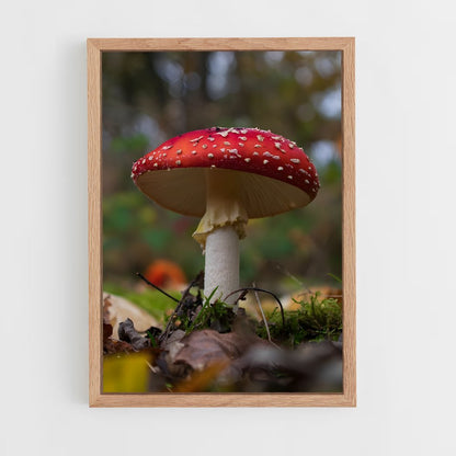 ap-fly agaric-4 cadre Bois clair
