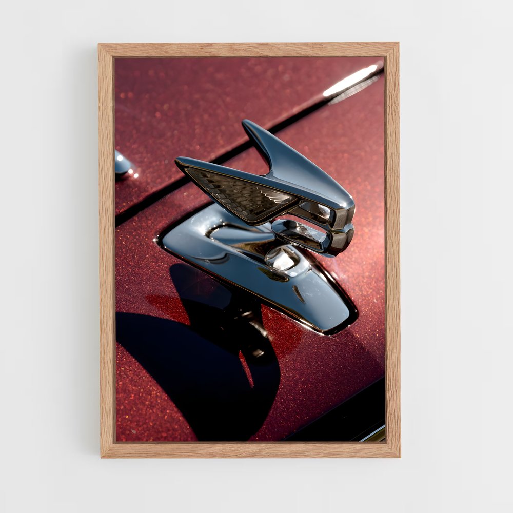 ap-flying spur speed-3 cadre Bois clair