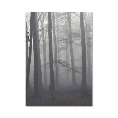 Poster Brume Enchantée