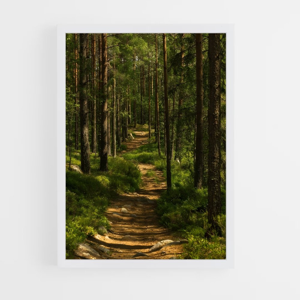 ap-forest-1 cadre Blanc
