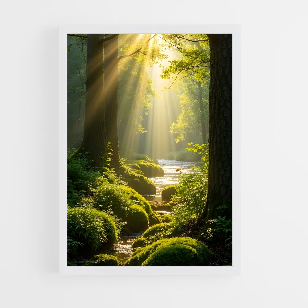 ap-forest-3 cadre Blanc