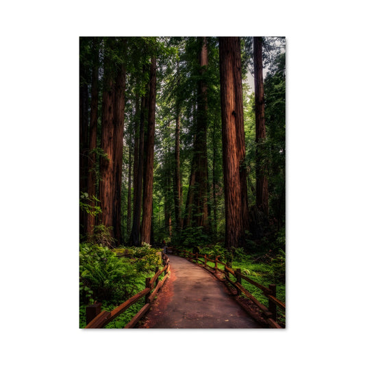 Poster Sentier des Séquoias