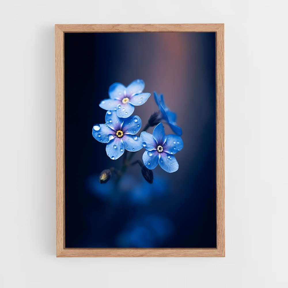 ap-forget-me-not-2 cadre Bois clair