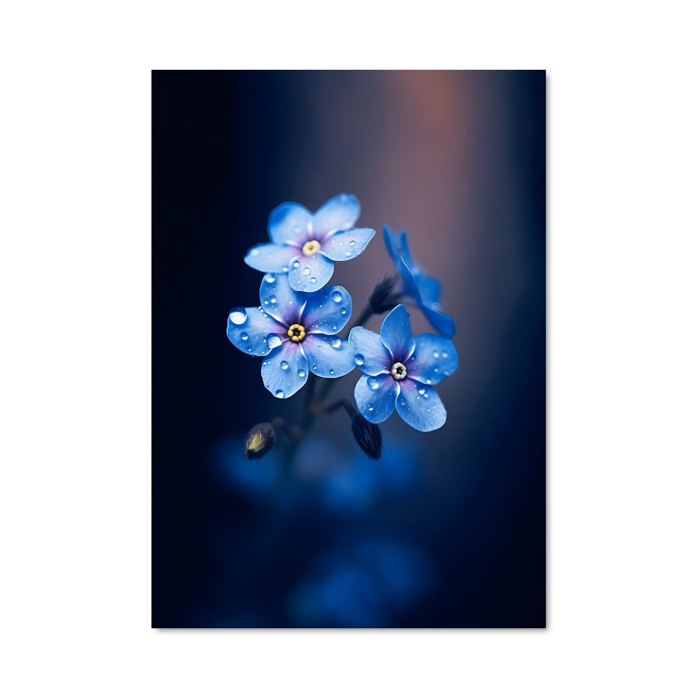 Poster Gouttes de Mémoire