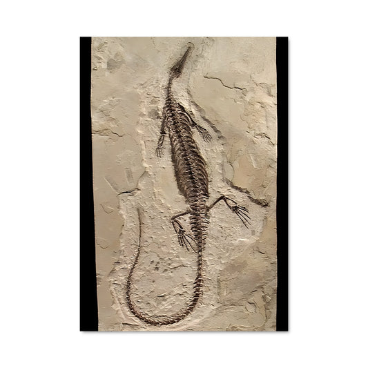 Poster Fossile Mystique
