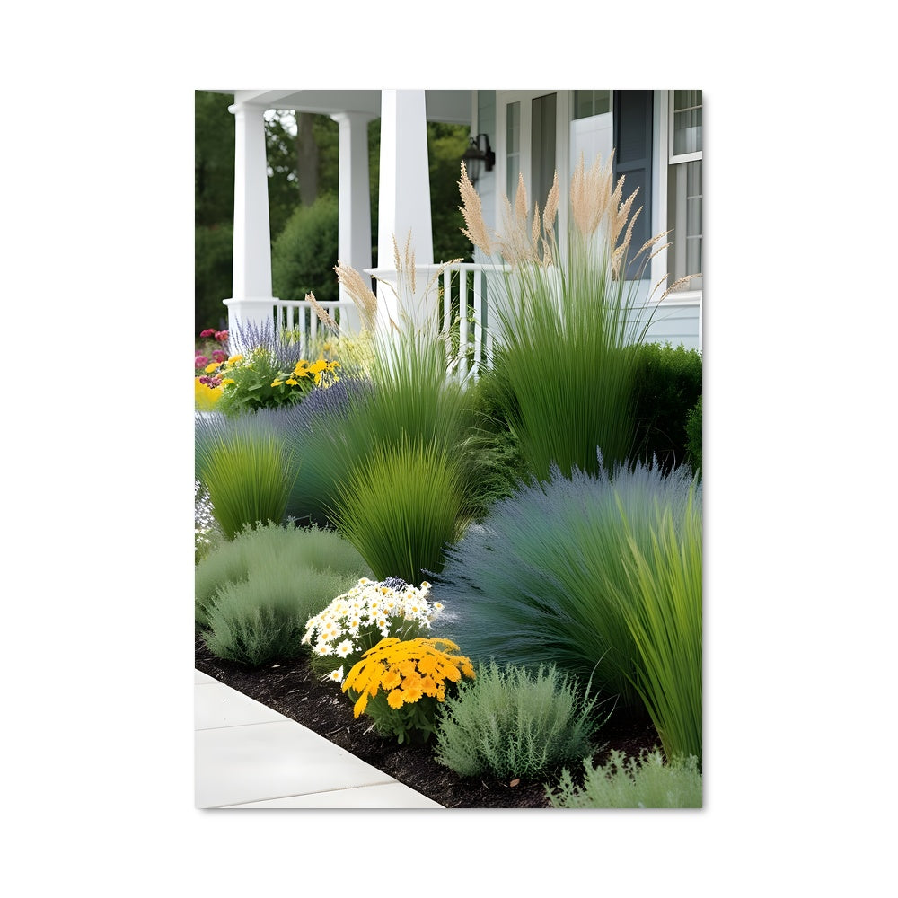 Poster Fountain grass 96798