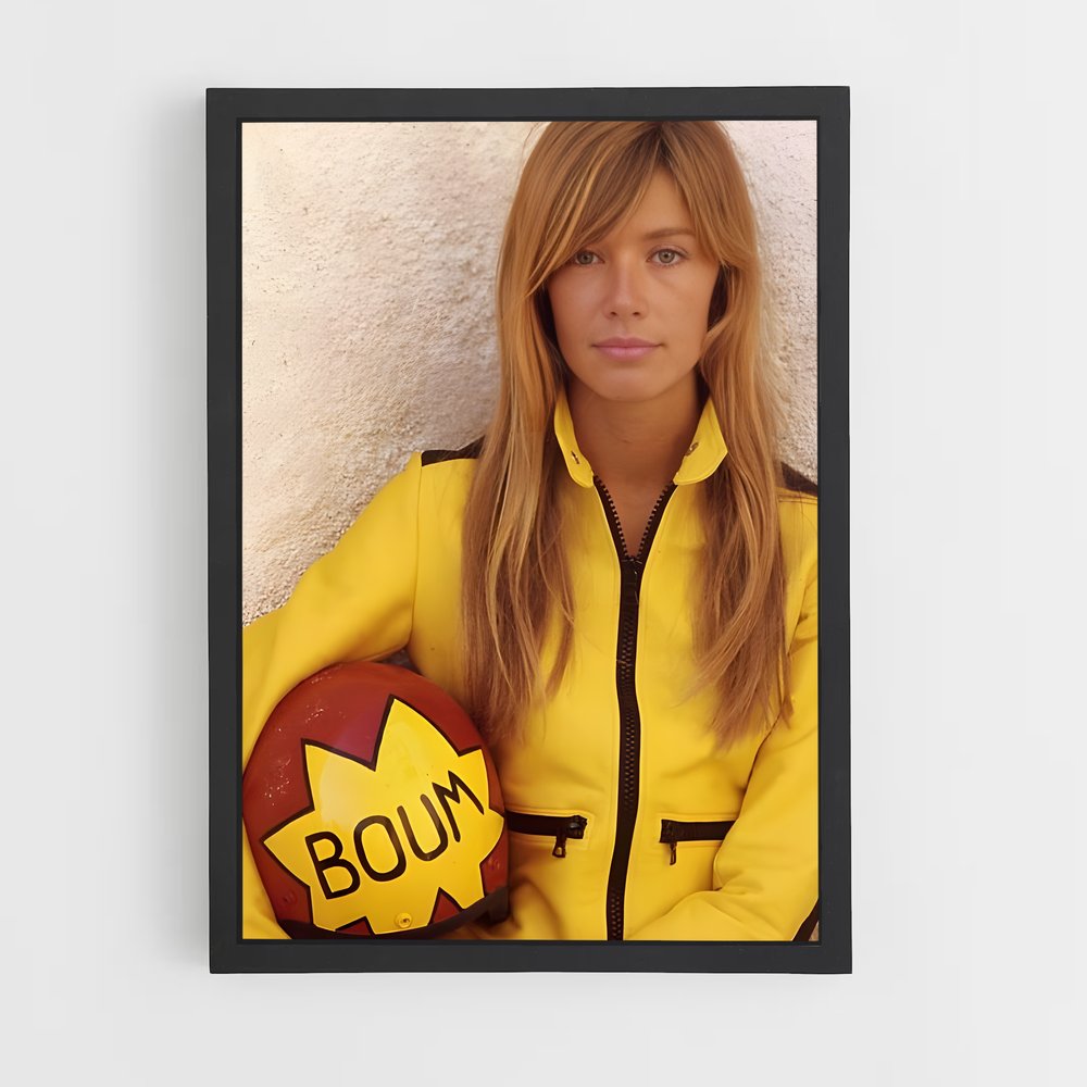ap-francoise hardy-2 cadre Noir