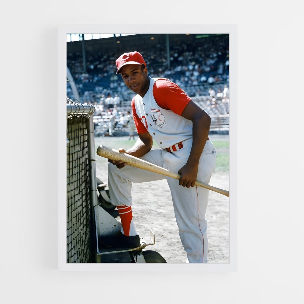 ap-frank robinson-3 cadre Blanc