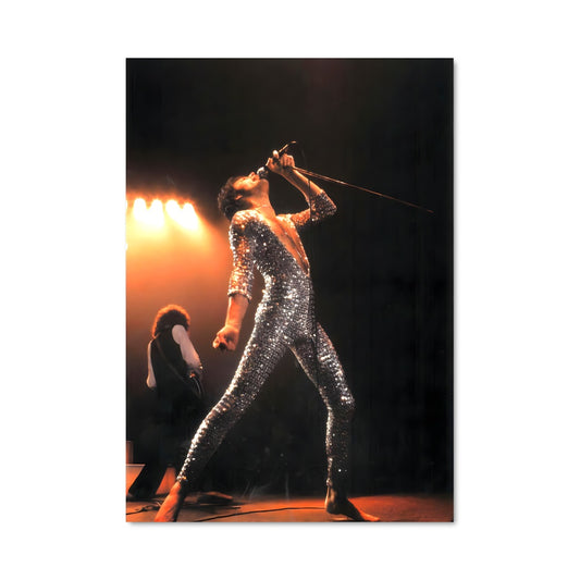 Poster Freddie mercury 56300