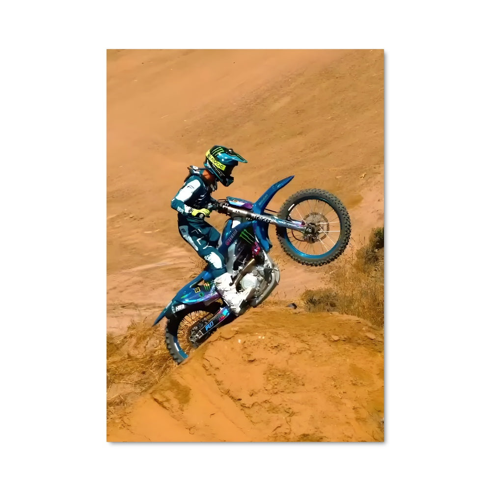 Poster Freestyle Rider