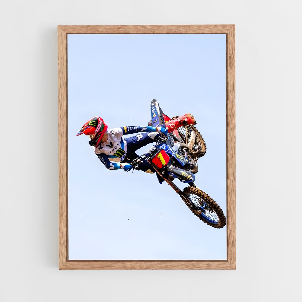 ap-freestyle motocross-8 cadre Bois clair