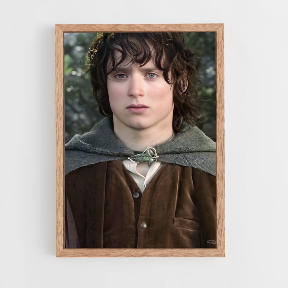 ap-frodo baggins-2 cadre Bois clair