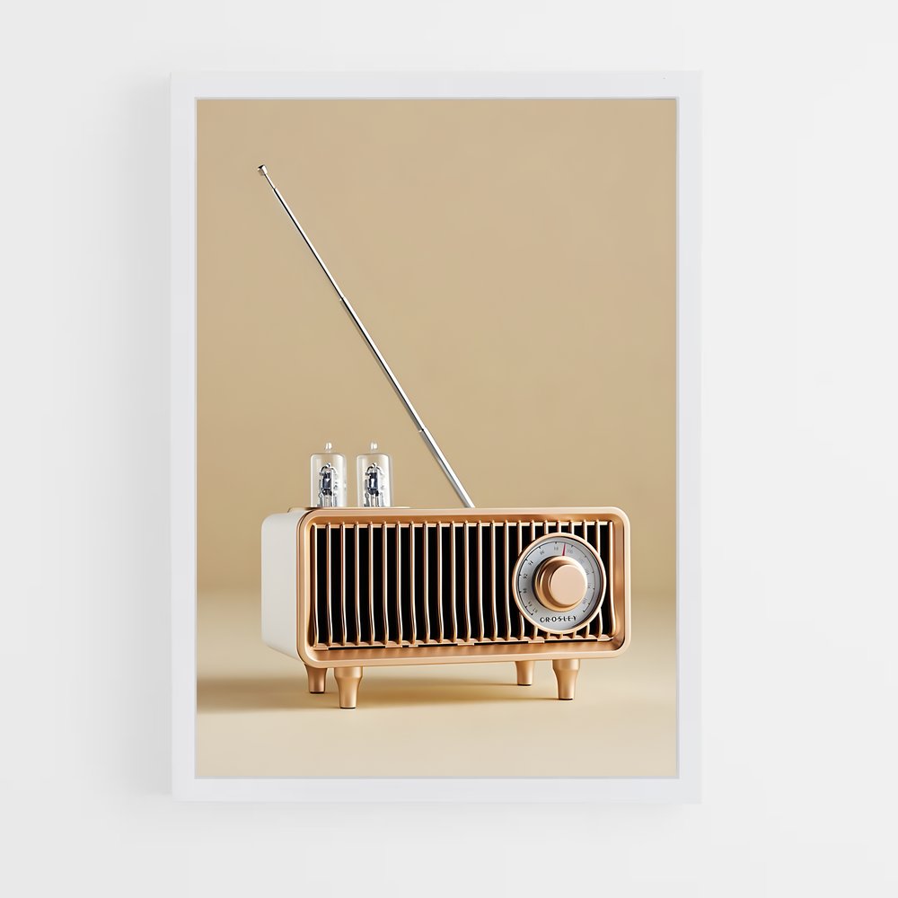 ap-fun radio-5 cadre Blanc