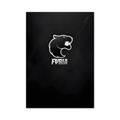 Poster Furia Team