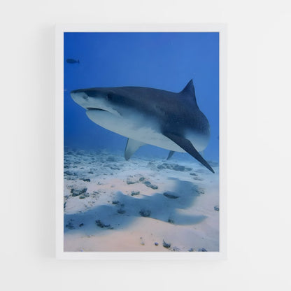 ap-fuvahmulah-2 cadre Blanc