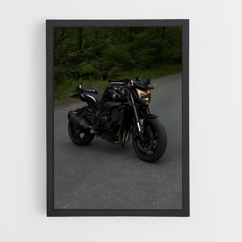 ap-fz1-1 cadre Noir