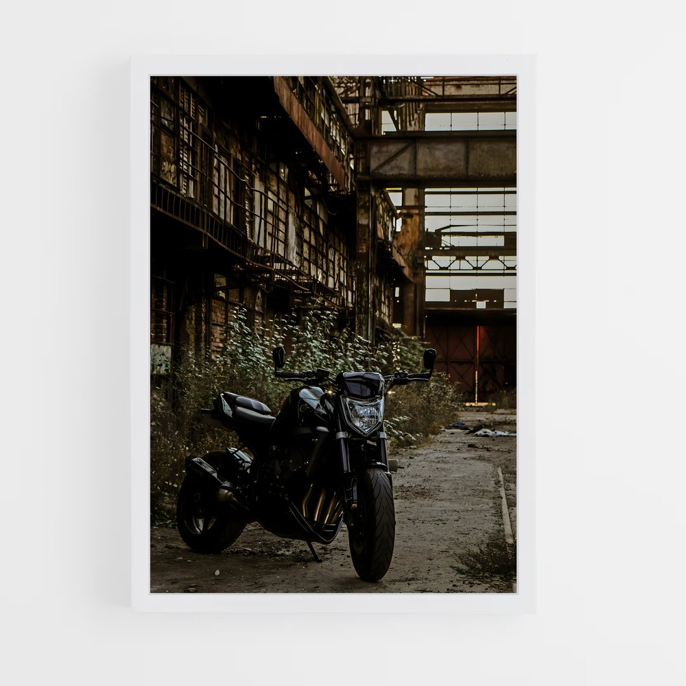 ap-fz1-2 cadre Blanc