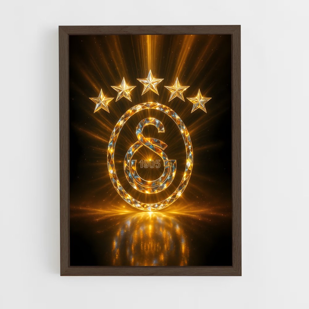 ap-galatasaray sk-1 cadre Bois foncé