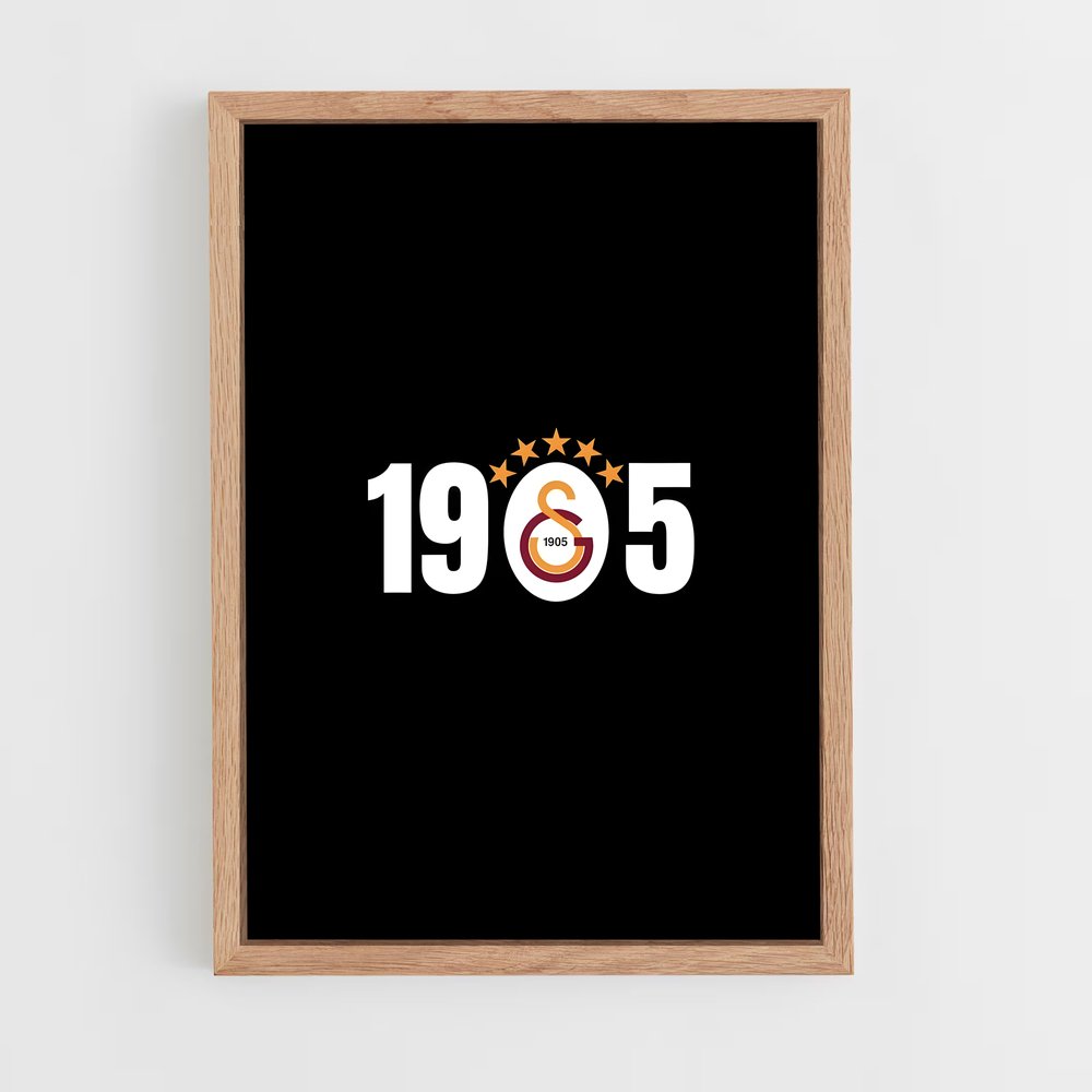 ap-galatasaray sk-11 cadre Bois clair