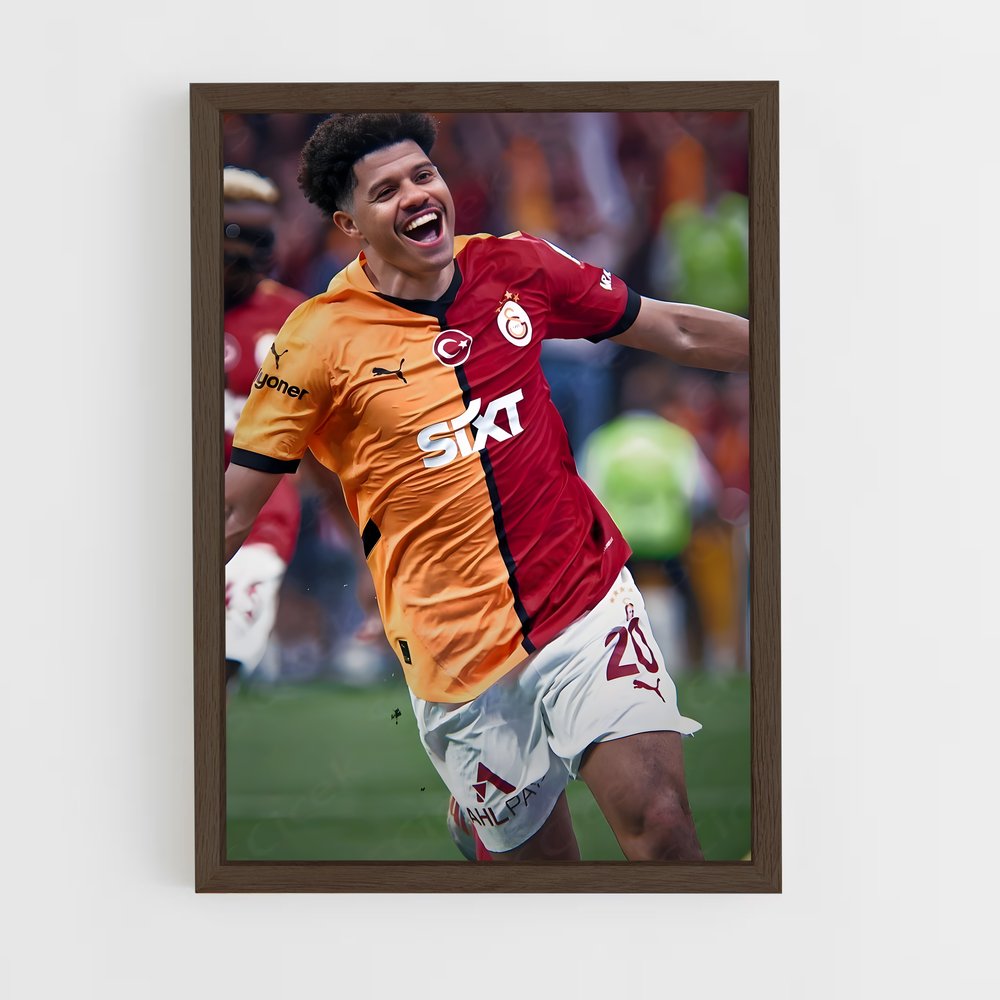 ap-galatasaray sk-16 cadre Bois foncé