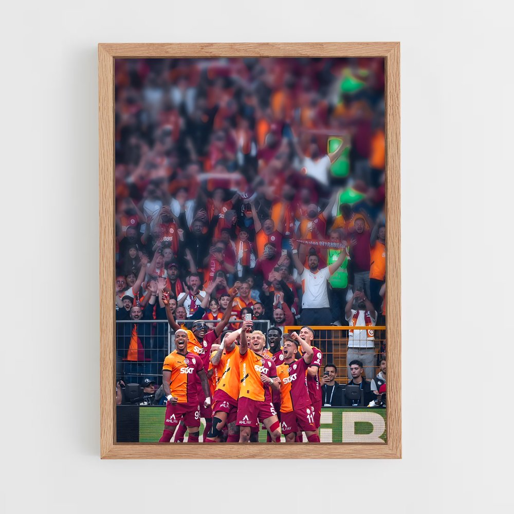 ap-galatasaray sk-9 cadre Bois clair