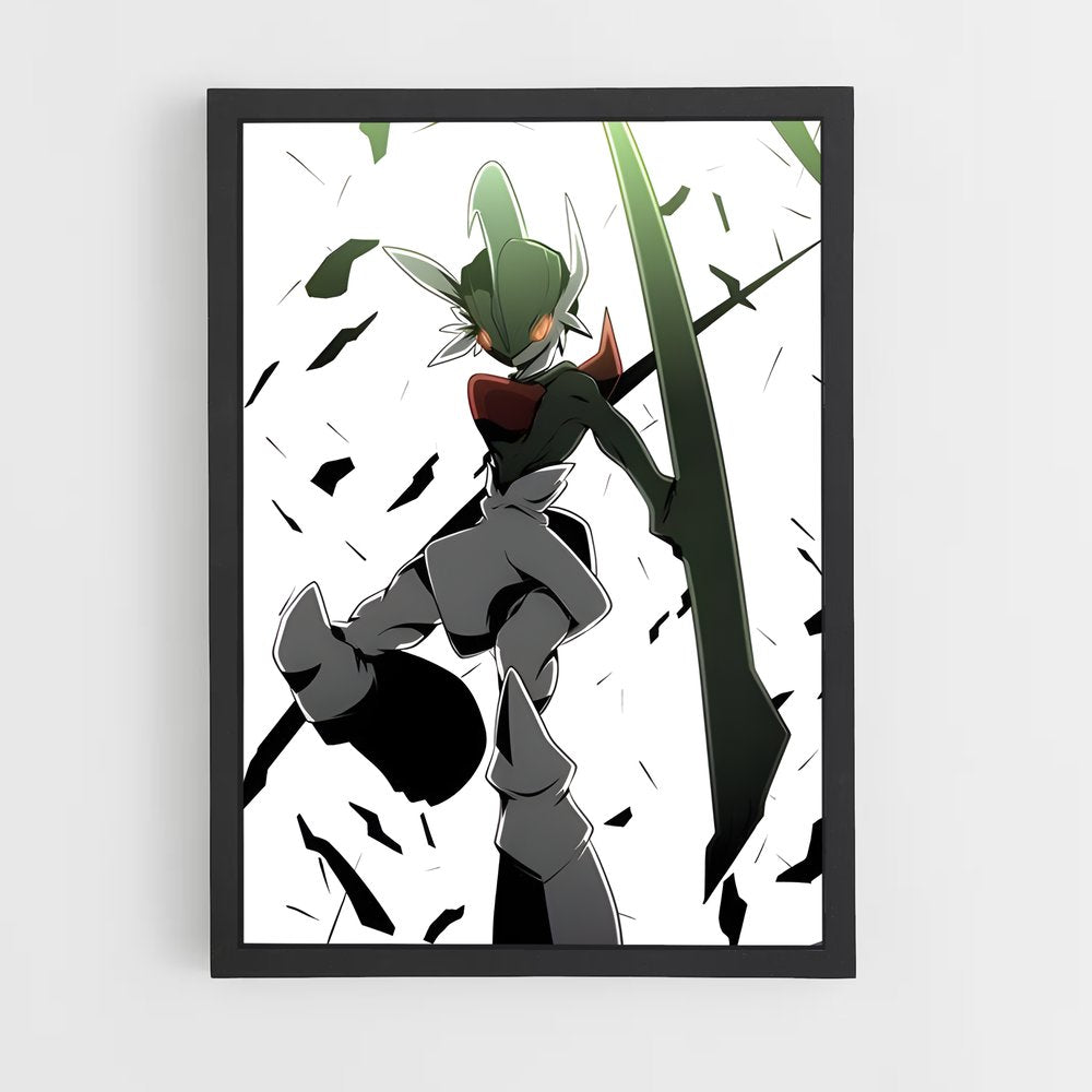 ap-gallade-1 cadre Noir