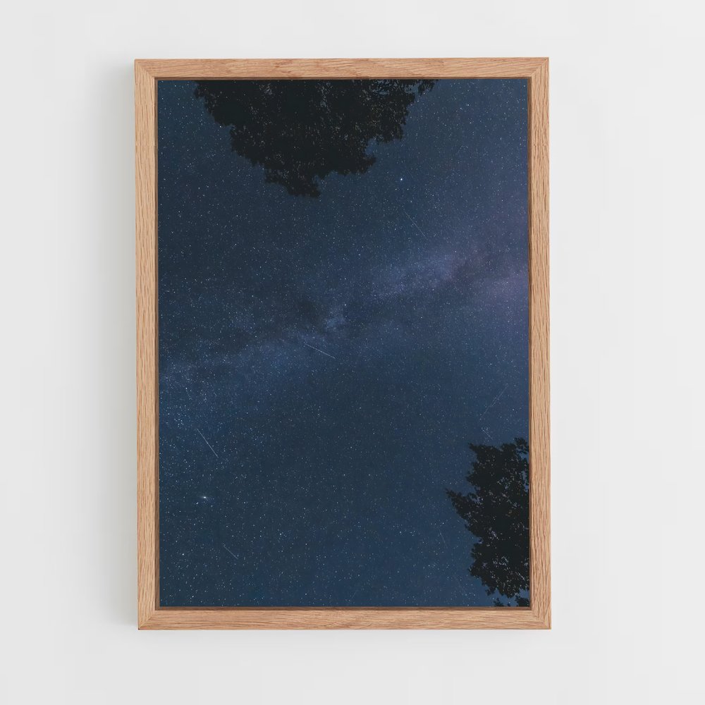 ap-geminids-1 cadre Bois clair