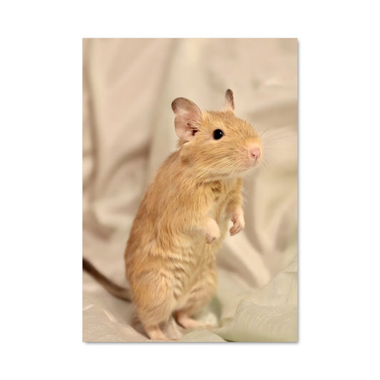 Poster Petite souris en rêverie