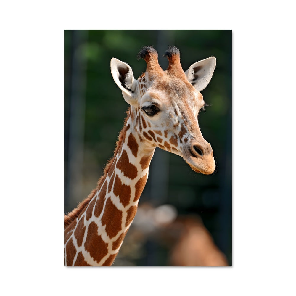 Poster Giraffe Vibes