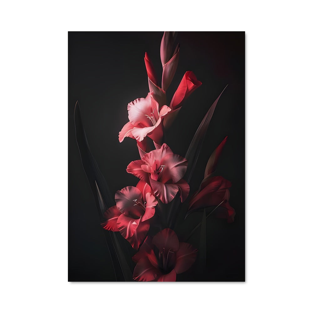 Poster Éclats de Gladiolus