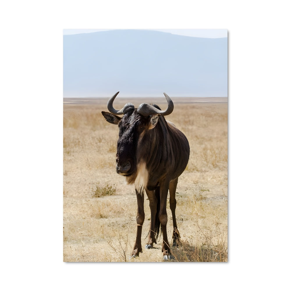 Poster La Danse Sauvage