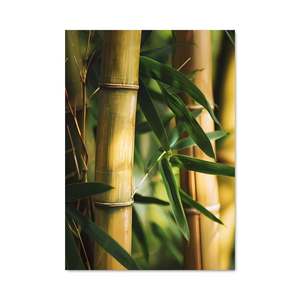 Poster Golden bamboo 96309