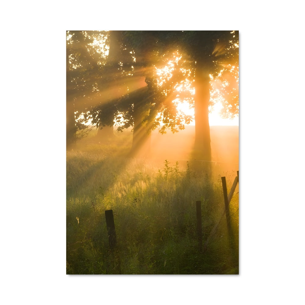 Poster Douceur d'Aube