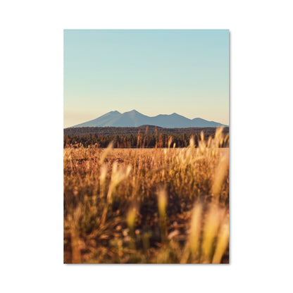 Poster Lueur d'Herbe