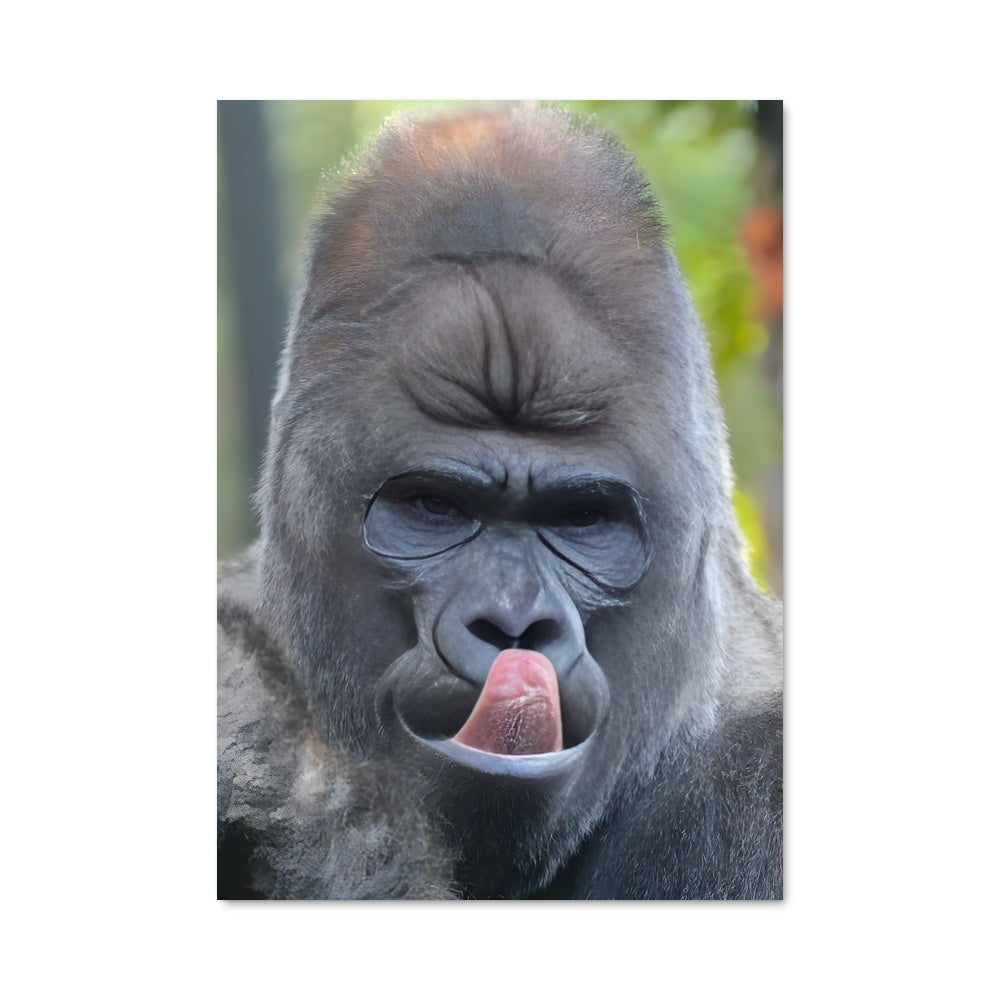 Poster Langue de Gorille