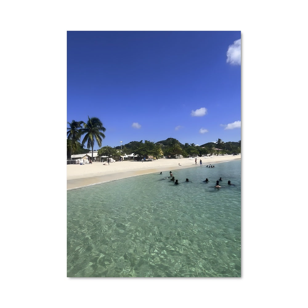 Poster Grand anse beach 92826