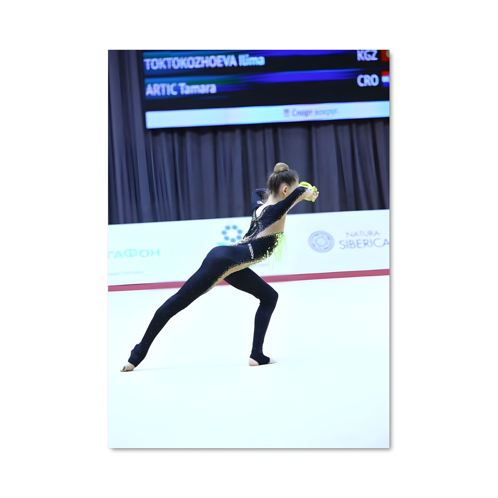 Poster Danse sur Glace