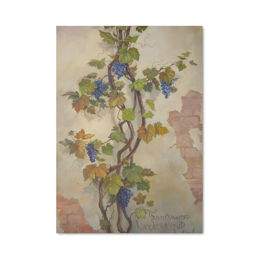 Poster Vigne Épanouie