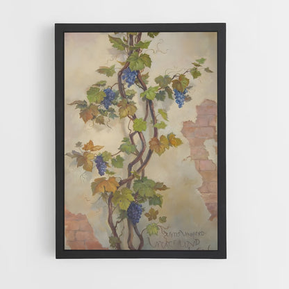 ap-grape vine-5 cadre Noir