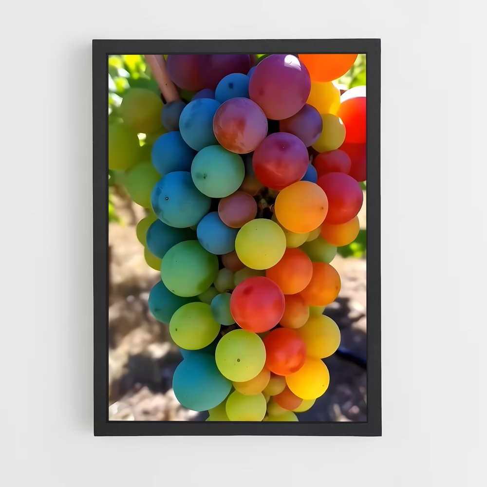 ap-grapes-2 cadre Noir