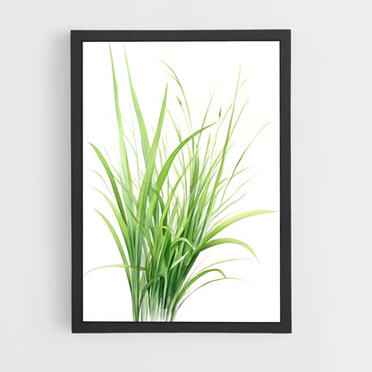 ap-grass-1 cadre Noir