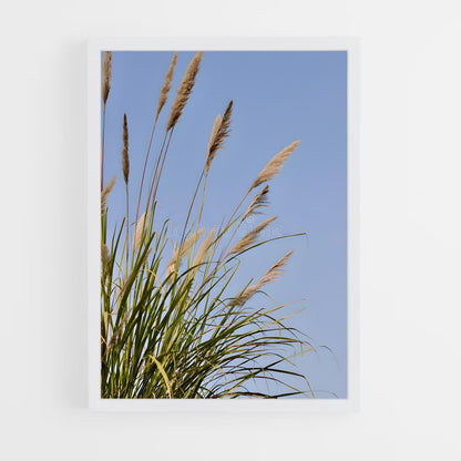 ap-grass-8 cadre Blanc