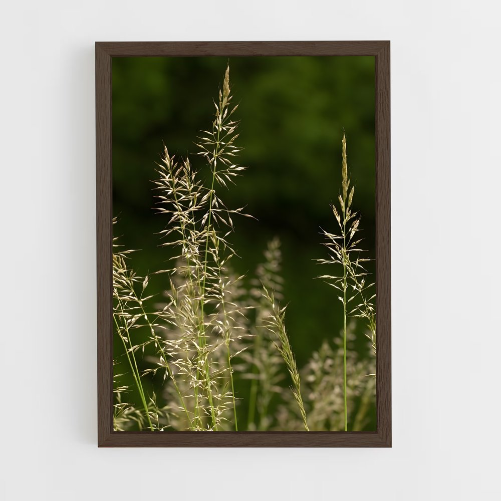 ap-grass-9 cadre Bois foncé