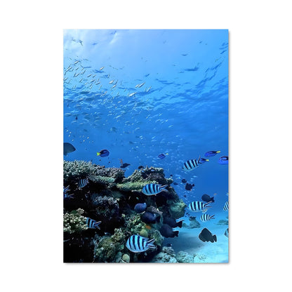 Poster Great barrier reef 93399