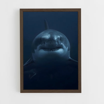 ap-great white shark encounters-1 cadre Bois foncé