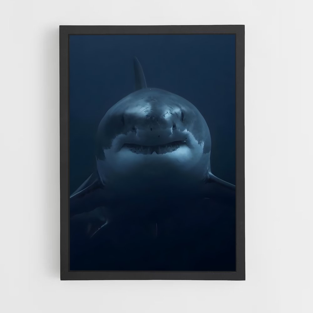 ap-great white shark encounters-1 cadre Noir