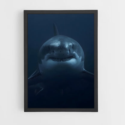 ap-great white shark encounters-1 cadre Noir