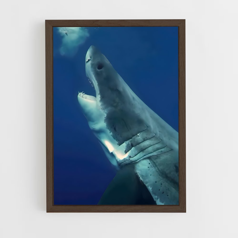 ap-great white shark encounters-2 cadre Bois foncé