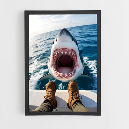 ap-great white shark encounters-6 cadre Noir
