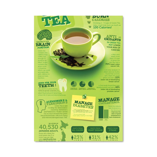Poster Thé Vert Infographique